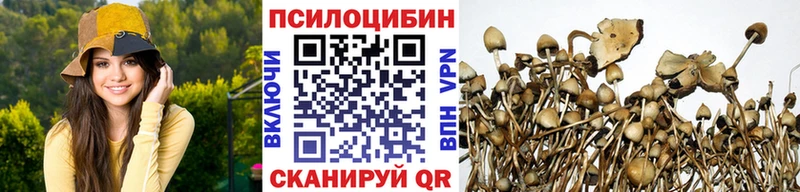 Галлюциногенные грибы MAGIC MUSHROOMS  Сокол 